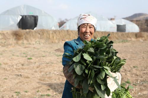 洪河村群眾的心里話：脫貧致富，計(jì)劃得先行