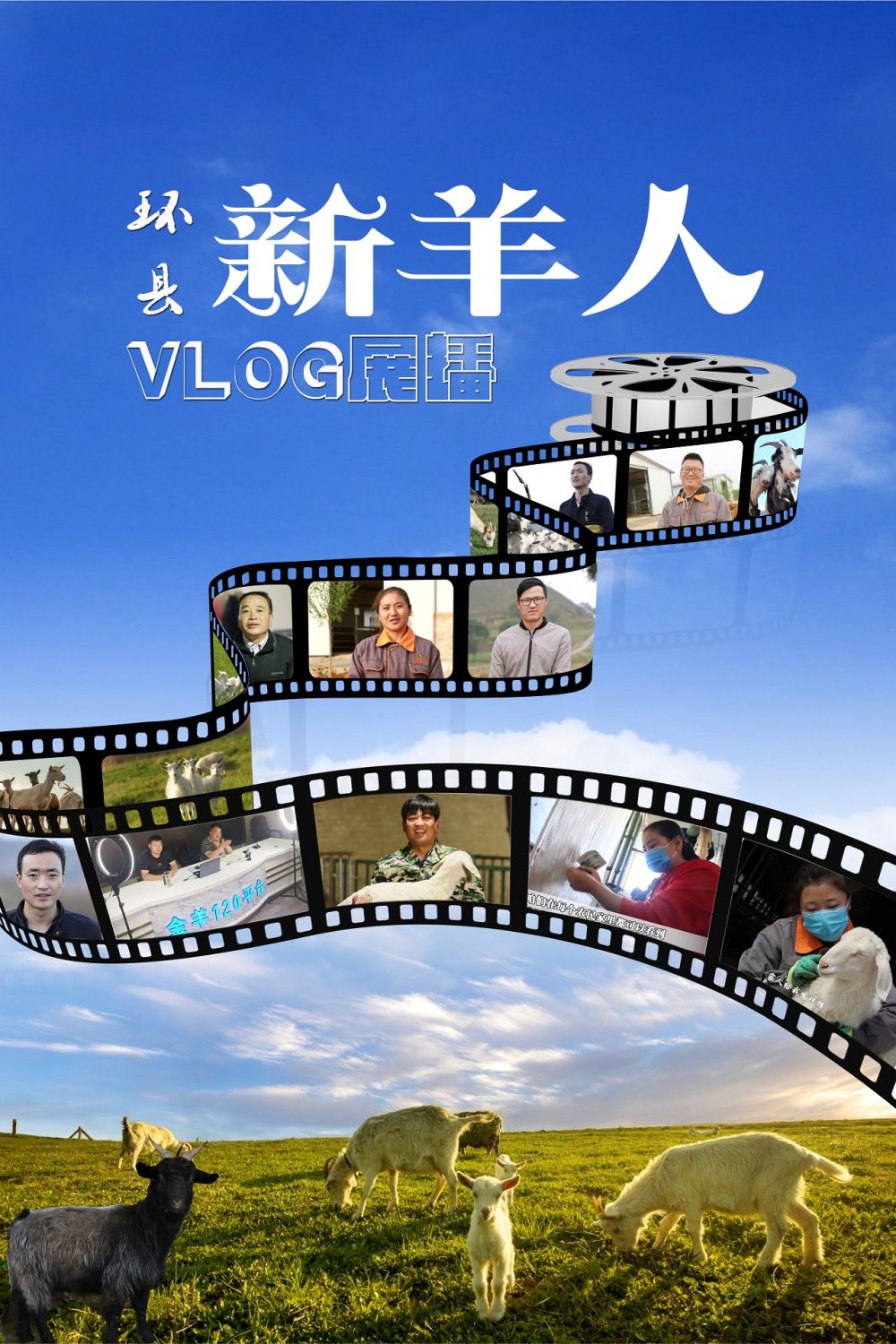 【環(huán)縣“新羊人”VLOG展播】玉米秸稈養(yǎng)羊的蘇耀貴