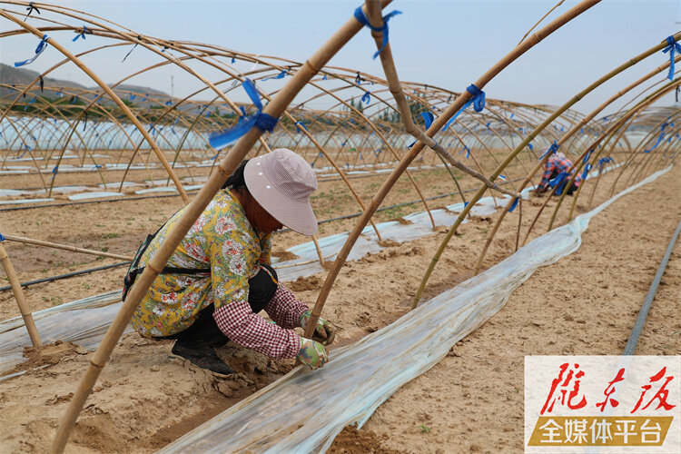 【奮進新征程 建功新時代】環(huán)縣洪德鎮(zhèn)種植大棚西瓜帶農(nóng)增收