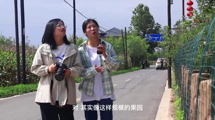 李嶺村：領跑幸福