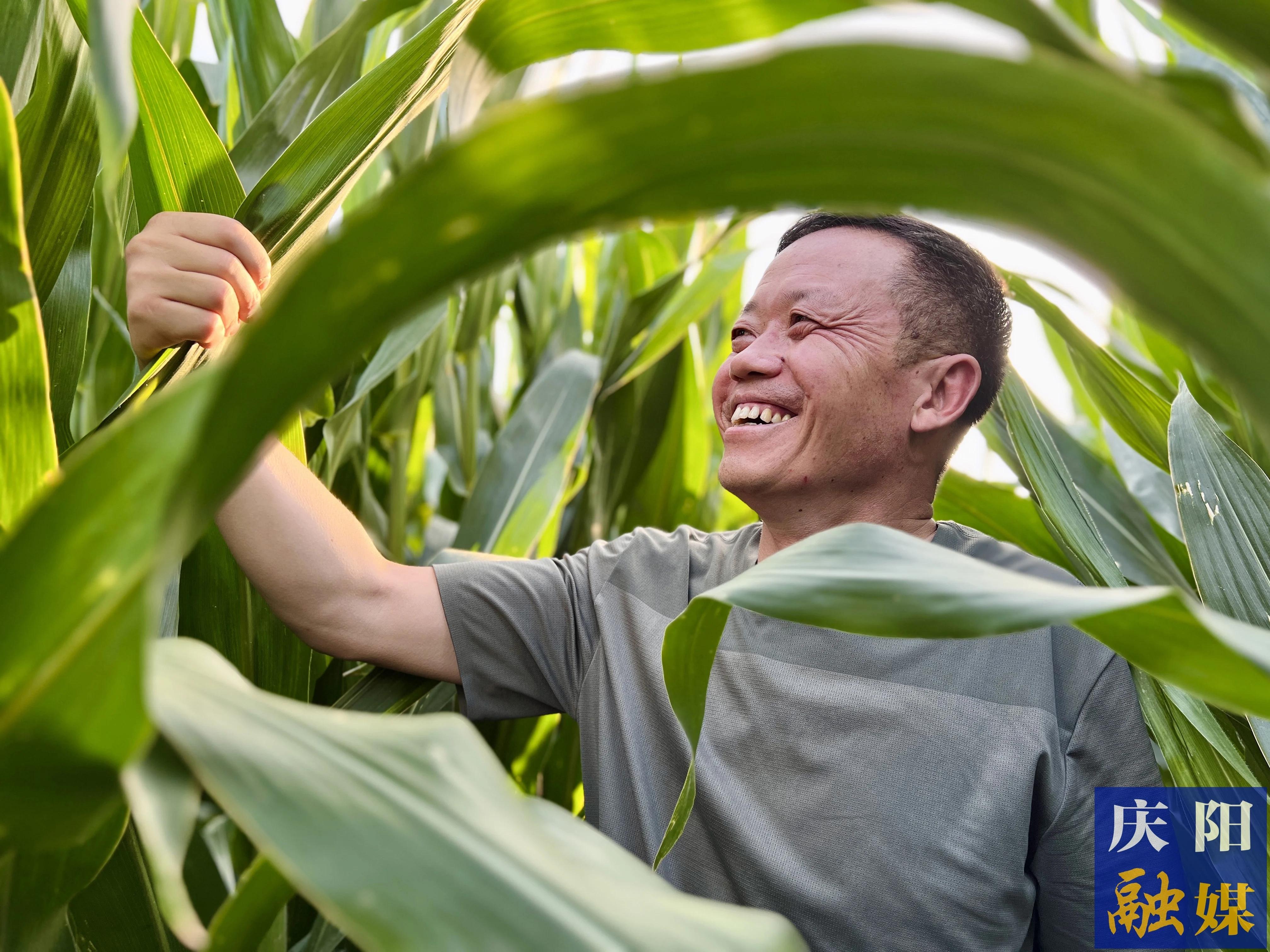 圓夢——環(huán)縣籍企業(yè)家石明生回鄉(xiāng)探索現(xiàn)代農(nóng)業(yè)發(fā)展之路