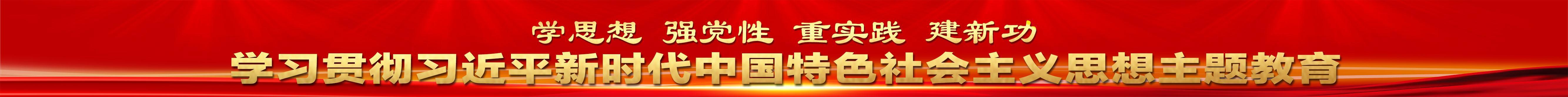 學(xué)習(xí)習(xí)近平新時(shí)代中國(guó)特色社會(huì)主義思想主題教育