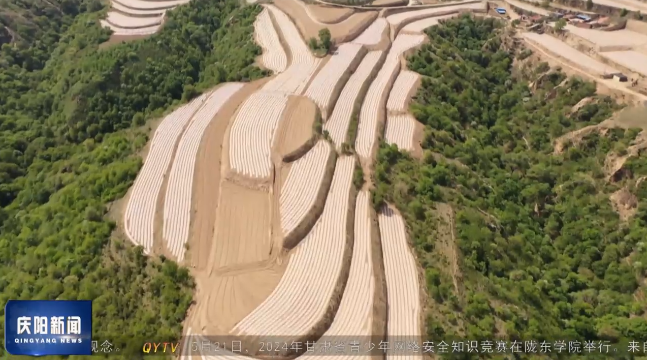 《慶陽(yáng)新聞》2024年5月22日