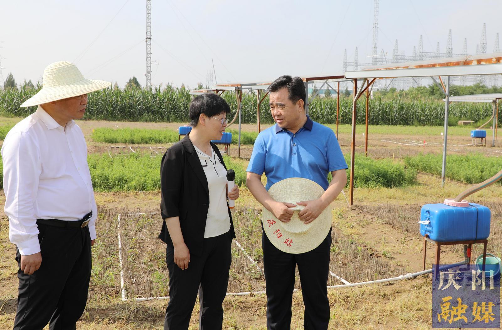 黃澤元在蘭州大學慶陽草地農(nóng)業(yè)試驗站和市農(nóng)科院調研時強調 切實提升科技成果轉化率促進農(nóng)民增收 加快發(fā)展農(nóng)業(yè)新質生產(chǎn)力推動農(nóng)業(yè)增效