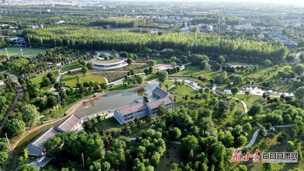 慶陽城市海綿運(yùn)動綠地公園風(fēng)光旖旎浪漫一“夏”